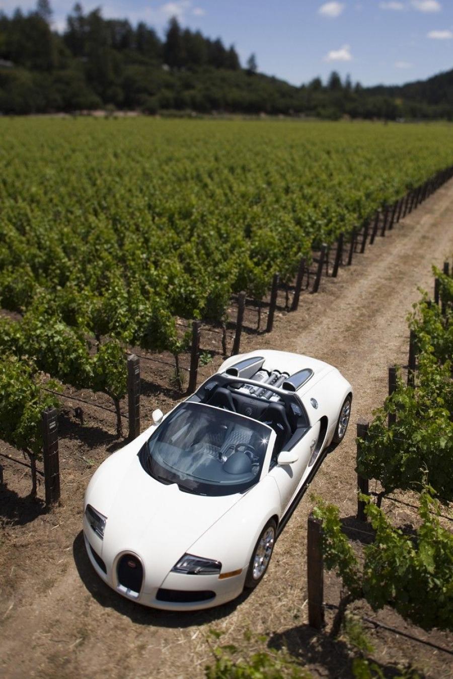  Bugatti Veyron 16.4 Grand Sport Roadster 2008 года  (фото 178 из 186)